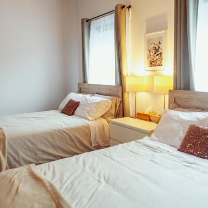 Apartament Large Upstairs Flat In Downtown Century Building Belleville Zewnętrze zdjęcie